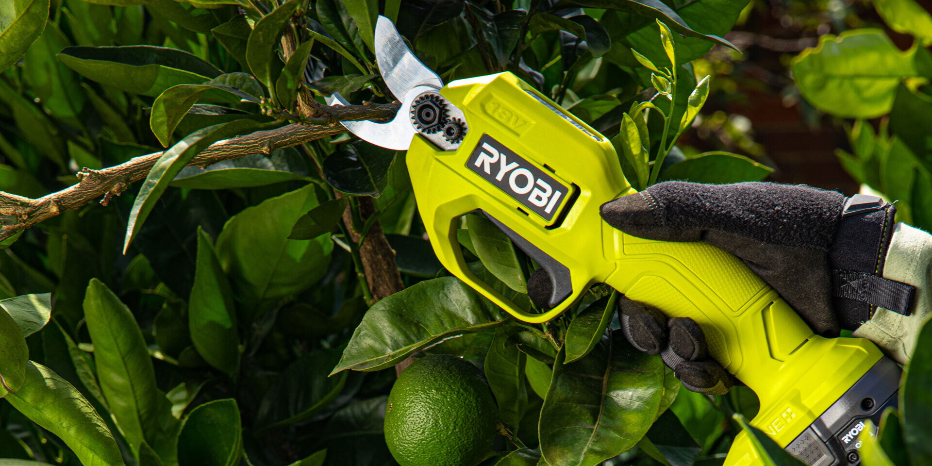 RYOBI secateurs cutting a medium tree branch