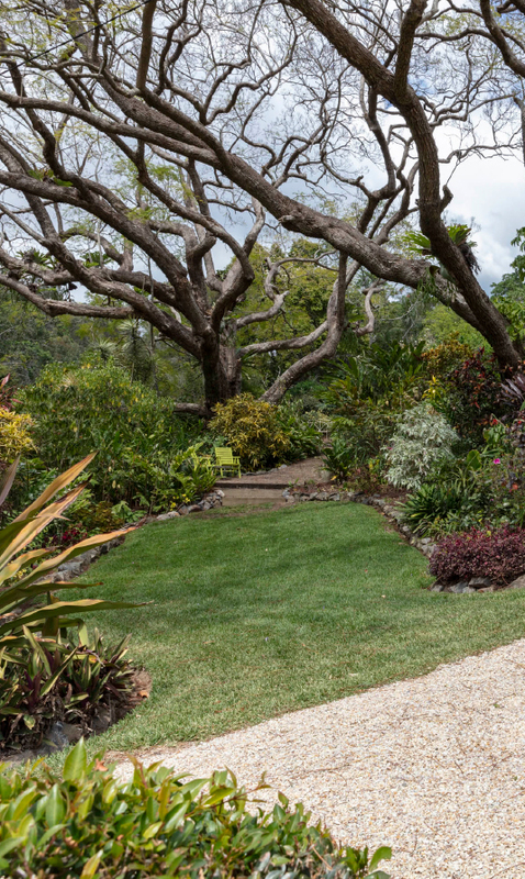 A small lawn surrounded by large trees and bushes