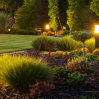 A well lit, manicured garden