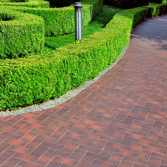 Well maintained curved box hedge with spotless brick path