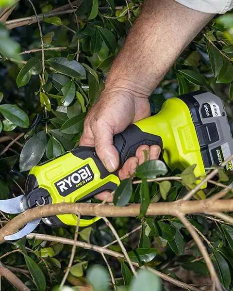 RYOBI Secateurs pruning a small branch